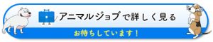 井上動物病院の求人