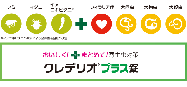 フィラリア予防薬処方開始です。ノミダニ駆除もできる複合薬をおすすめします。